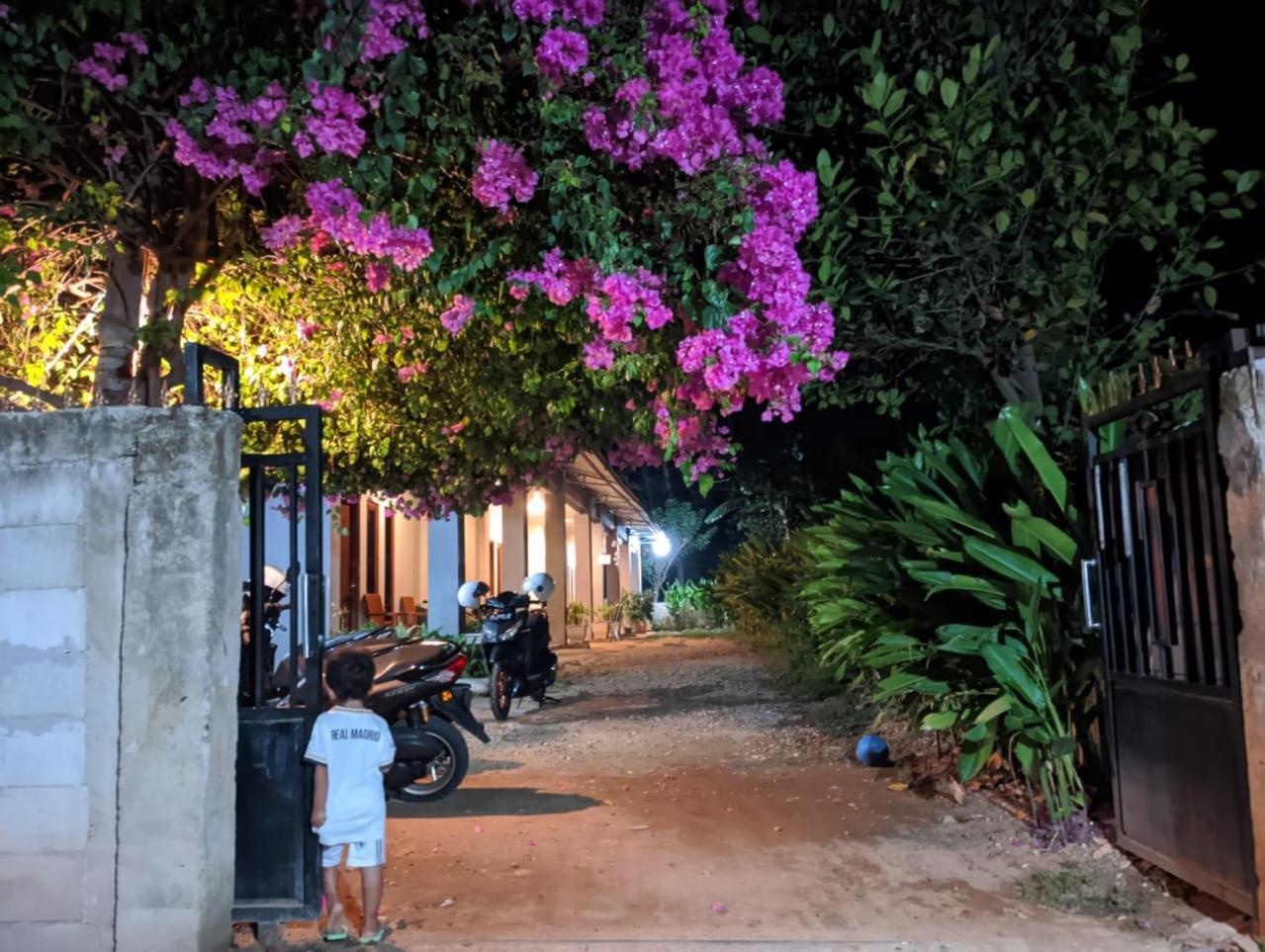 Wl Guesthouse لابوان باجو المظهر الخارجي الصورة